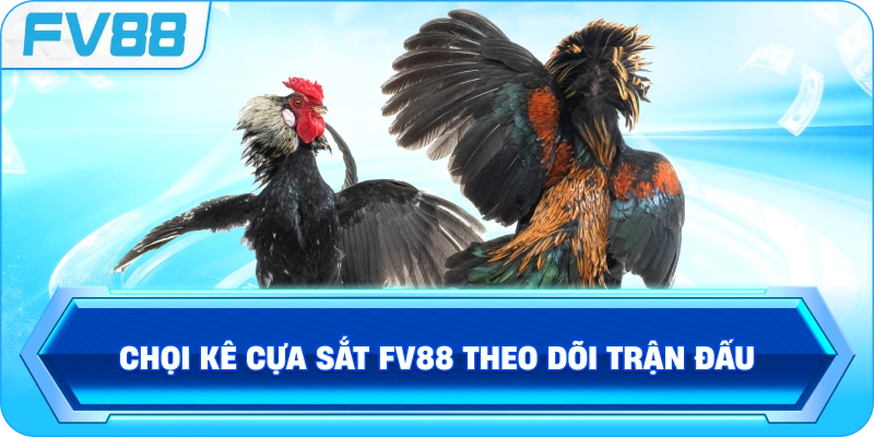 Đấu Trường Gà Mỹ FV88 cập nhật trận đấu