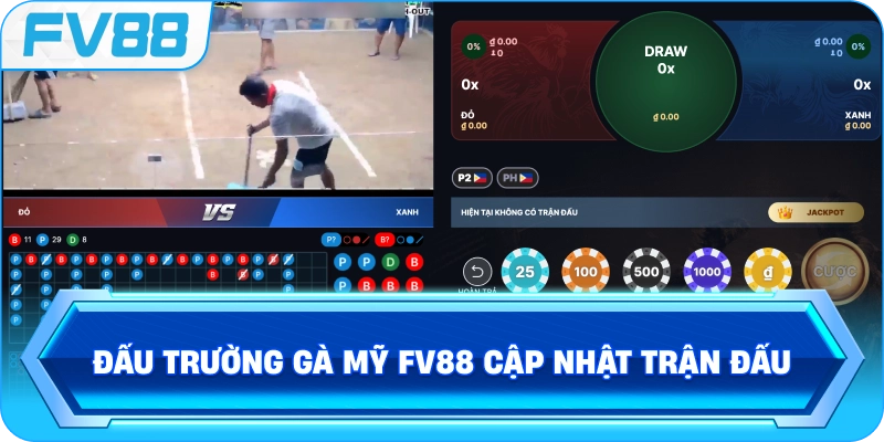 Đấu Trường Gà Mỹ FV88 cập nhật trận đấu