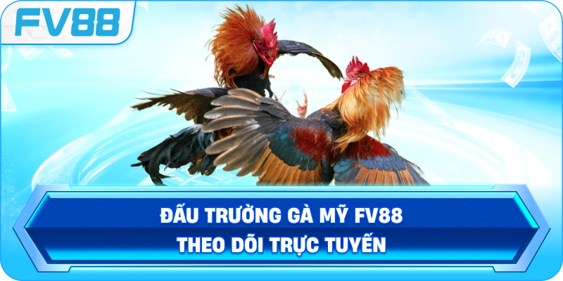Đấu Trường Gà Mỹ FV88 theo dõi trực tuyến