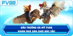 Đấu Trường Gà Mỹ FV88 – Khám phá sân chơi đặc sắc